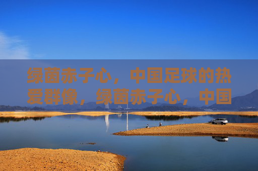绿茵赤子心，中国足球的热爱群像，绿茵赤子心，中国足球热爱群像