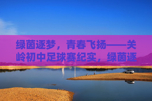 绿茵逐梦，青春飞扬——关岭初中足球赛纪实，绿茵逐梦，青春飞扬——关岭初中足球赛纪实