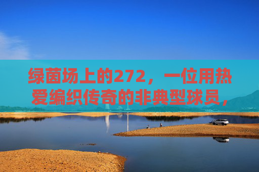 绿茵场上的272，一位用热爱编织传奇的非典型球员，绿茵场272，热爱编织的非典型传奇