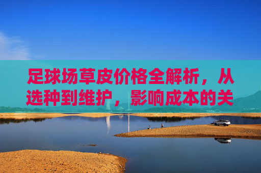 足球场草皮价格全解析，从选种到维护，影响成本的关键因素，足球场草皮价格全解析，选种到维护的成本关键因素