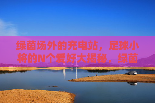 绿茵场外的充电站，足球小将的N个爱好大揭秘，绿茵场外充电站，足球小将爱好大揭秘