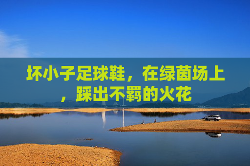 坏小子足球鞋,在绿茵场上,踩出不羁的火花 坏小子足球鞋,在绿茵场上,踩出不羁的火花