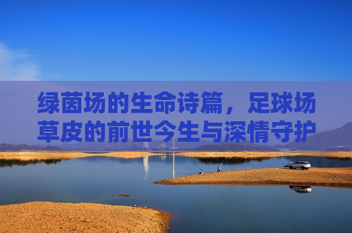 绿茵场的生命诗篇，足球场草皮的前世今生与深情守护，绿茵场的生命诗篇，草皮的前世今生与深情守护