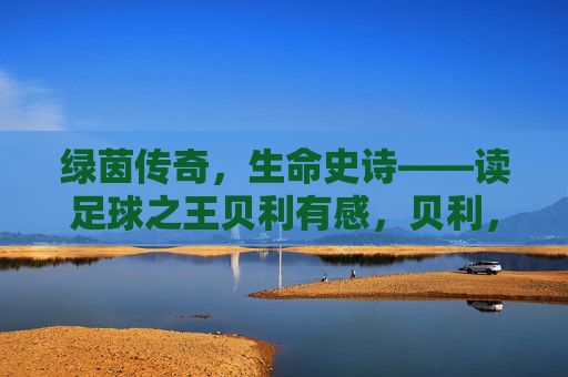 绿茵传奇，生命史诗——读足球之王贝利有感，贝利，绿茵传奇与生命史诗