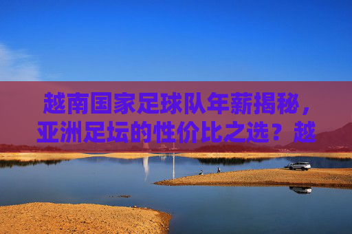 越南国家足球队年薪揭秘，亚洲足坛的性价比之选？越南国家队年薪揭秘，亚洲足坛性价比之选