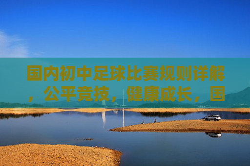 国内初中足球比赛规则详解，公平竞技，健康成长，国内初中足球比赛规则详解，公平竞技，健康成长