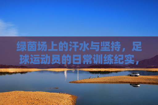 绿茵场上的汗水与坚持，足球运动员的日常训练纪实，绿茵场上的汗水与坚持，足球运动员日常训练纪实
