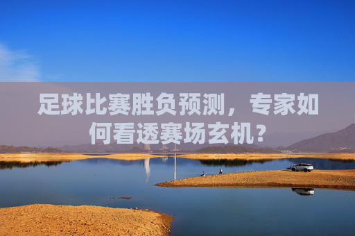 足球比赛胜负预测，专家如何看透赛场玄机？
