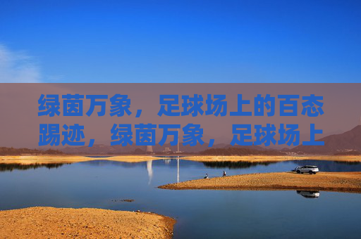绿茵万象，足球场上的百态踢迹，绿茵万象，足球场上的百态踢迹