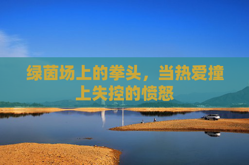 绿茵场上的拳头,当热爱撞上失控的愤怒 绿茵场上的拳头,当热爱撞上失控的愤怒