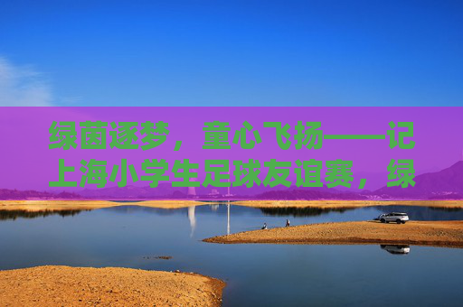 绿茵逐梦，童心飞扬——记上海小学生足球友谊赛，绿茵逐梦，童心飞扬——上海小学生足球友谊赛