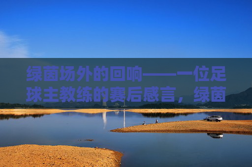 绿茵场外的回响——一位足球主教练的赛后感言,绿茵场外的回响,足球主教练赛后感言 绿茵场外的回响——一位足球主教练的赛后感言,绿茵场外的回响,足球主教练赛后感言