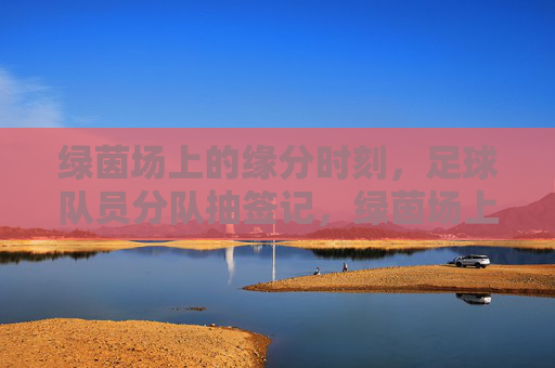 绿茵场上的缘分时刻,足球队员分队抽签记,绿茵场上的缘分抽签 绿茵场上的缘分时刻,足球队员分队抽签记,绿茵场上的缘分抽签