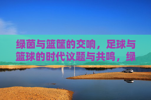 绿茵与篮筐的交响，足球与篮球的时代议题与共鸣，绿茵篮筐的交响，足球篮球的时代共鸣