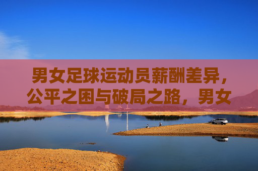 男女足球运动员薪酬差异，公平之困与破局之路，男女球员薪酬差异，公平之困与破局之路