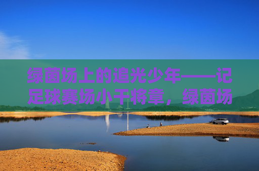 绿茵场上的追光少年——记足球赛场小干将章，绿茵场上的追光少年，足球小将章