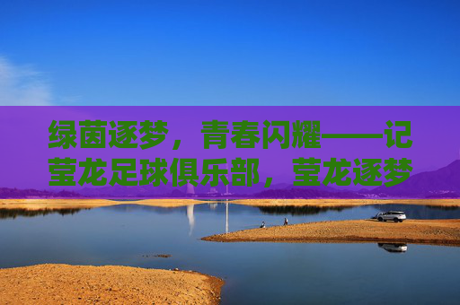 绿茵逐梦，青春闪耀——记莹龙足球俱乐部，莹龙逐梦，绿茵场上的青春闪耀