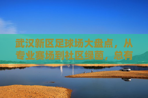 武汉新区足球场大盘点，从专业赛场到社区绿茵，总有一处适合你！武汉新区足球场大盘点，从专业赛场到社区绿茵，总有一处适合你！