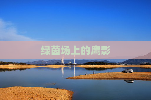 绿茵场上的鹰影 绿茵场上的鹰影