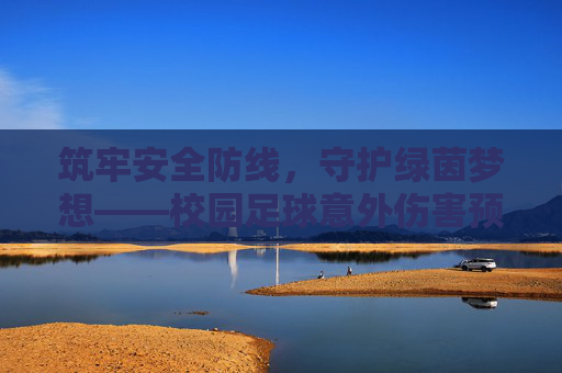 筑牢安全防线，守护绿茵梦想——校园足球意外伤害预防指南，筑牢安全防线，守护绿茵梦想——校园足球意外伤害预防指南
