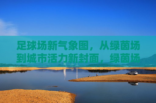足球场新气象图，从绿茵场到城市活力新封面，绿茵场蝶变，城市活力新封面
