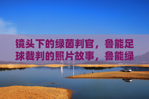 镜头下的绿茵判官,鲁能足球裁判的照片故事,鲁能绿茵判官,镜头下的照片故事 镜头下的绿茵判官,鲁能足球裁判的照片故事,鲁能绿茵判官,镜头下的照片故事