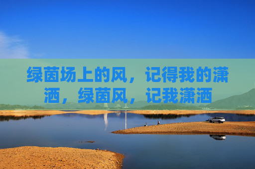 绿茵场上的风，记得我的潇洒，绿茵风，记我潇洒