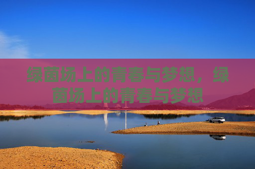 绿茵场上的青春与梦想,绿茵场上的青春与梦想 绿茵场上的青春与梦想,绿茵场上的青春与梦想