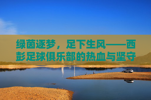 绿茵逐梦，足下生风——西彭足球俱乐部的热血与坚守
