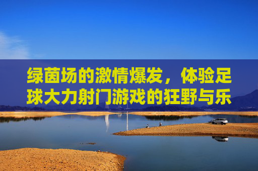 绿茵场的激情爆发，体验足球大力射门游戏的狂野与乐趣，绿茵狂野，大力射门的激情爆发