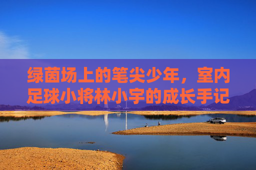 绿茵场上的笔尖少年，室内足球小将林小宇的成长手记，笔尖少年林小宇的足球成长手记