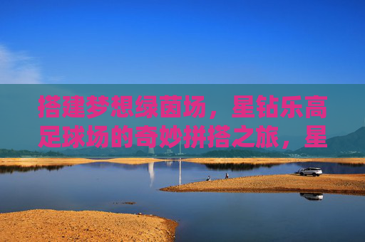 搭建梦想绿茵场，星钻乐高足球场的奇妙拼搭之旅，星钻乐高足球场，梦想绿茵场的奇妙拼搭