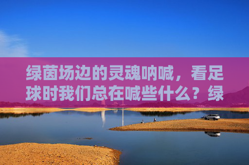 绿茵场边的灵魂呐喊，看足球时我们总在喊些什么？绿茵场边的灵魂呐喊，足球声中的我们