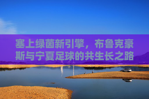 塞上绿茵新引擎,布鲁克豪斯与宁夏足球的共生长之路,布鲁克豪斯与宁夏足球,塞上绿茵的共生长引擎 塞上绿茵新引擎,布鲁克豪斯与宁夏足球的共生长之路,布鲁克豪斯与宁夏足球,塞上绿茵的共生长引擎