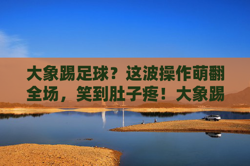 大象踢足球?这波操作萌翻全场,笑到肚子疼!大象踢足球萌翻全场,笑到肚子疼! 大象踢足球?这波操作萌翻全场,笑到肚子疼!大象踢足球萌翻全场,笑到肚子疼!