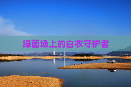 绿茵场上的白衣守护者