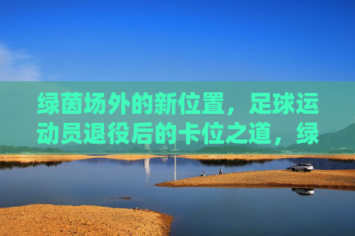 绿茵场外的新位置，足球运动员退役后的卡位之道，绿茵场外新位置，退役球员的卡位之道