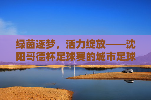 绿茵逐梦,活力绽放——沈阳哥德杯足球赛的城市足球盛宴,沈阳哥德杯足球赛,绿茵逐梦,城市足球盛宴 绿茵逐梦,活力绽放——沈阳哥德杯足球赛的城市足球盛宴,沈阳哥德杯足球赛,绿茵逐梦,城市足球盛宴
