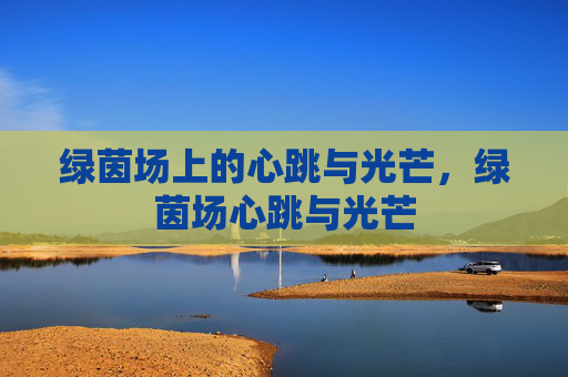 绿茵场上的心跳与光芒，绿茵场心跳与光芒