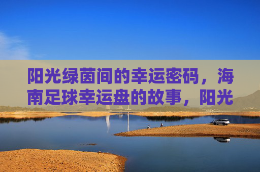 阳光绿茵间的幸运密码,海南足球幸运盘的故事,阳光绿茵间的海南足球幸运密码 阳光绿茵间的幸运密码,海南足球幸运盘的故事,阳光绿茵间的海南足球幸运密码