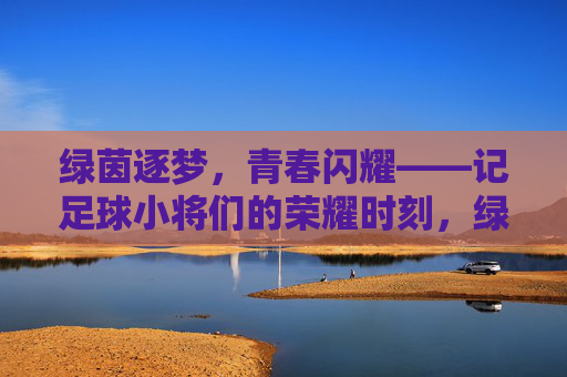 绿茵逐梦,青春闪耀——记足球小将们的荣耀时刻,绿茵逐梦,青春闪耀,足球小将荣耀时刻 绿茵逐梦,青春闪耀——记足球小将们的荣耀时刻,绿茵逐梦,青春闪耀,足球小将荣耀时刻