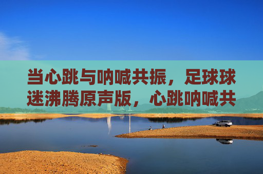当心跳与呐喊共振，足球球迷沸腾原声版，心跳呐喊共振，足球球迷沸腾原声