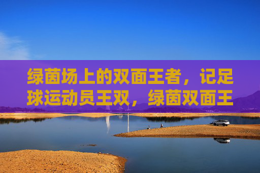 绿茵场上的双面王者，记足球运动员王双，绿茵双面王，王双