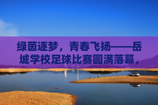 绿茵逐梦，青春飞扬——岳城学校足球比赛圆满落幕，绿茵逐梦，青春飞扬——岳城学校足球比赛圆满落幕