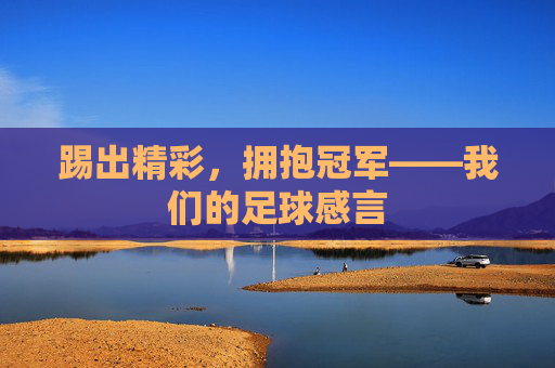 踢出精彩,拥抱冠军——我们的足球感言 踢出精彩,拥抱冠军——我们的足球感言