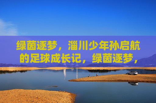 绿茵逐梦，淄川少年孙启航的足球成长记，绿茵逐梦，淄川少年孙启航成长记