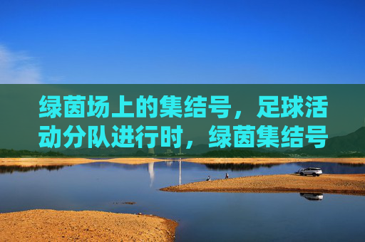 绿茵场上的集结号,足球活动分队进行时,绿茵集结号,足球分队行动进行时 绿茵场上的集结号,足球活动分队进行时,绿茵集结号,足球分队行动进行时
