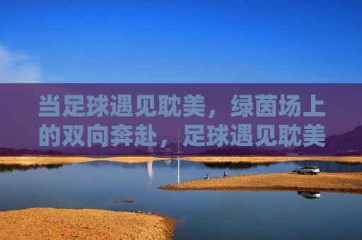 当足球遇见耽美,绿茵场上的双向奔赴,足球遇见耽美,绿茵场双向奔赴 当足球遇见耽美,绿茵场上的双向奔赴,足球遇见耽美,绿茵场双向奔赴