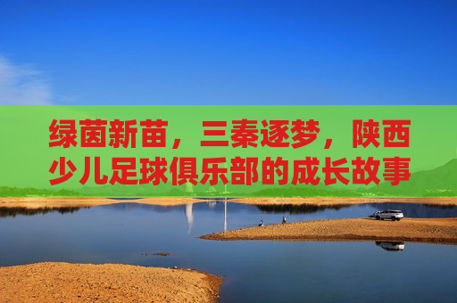 绿茵新苗,三秦逐梦,陕西少儿足球俱乐部的成长故事,三秦新苗逐梦绿茵 绿茵新苗,三秦逐梦,陕西少儿足球俱乐部的成长故事,三秦新苗逐梦绿茵