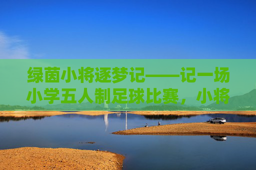 绿茵小将逐梦记——记一场小学五人制足球比赛，小将逐梦绿茵场